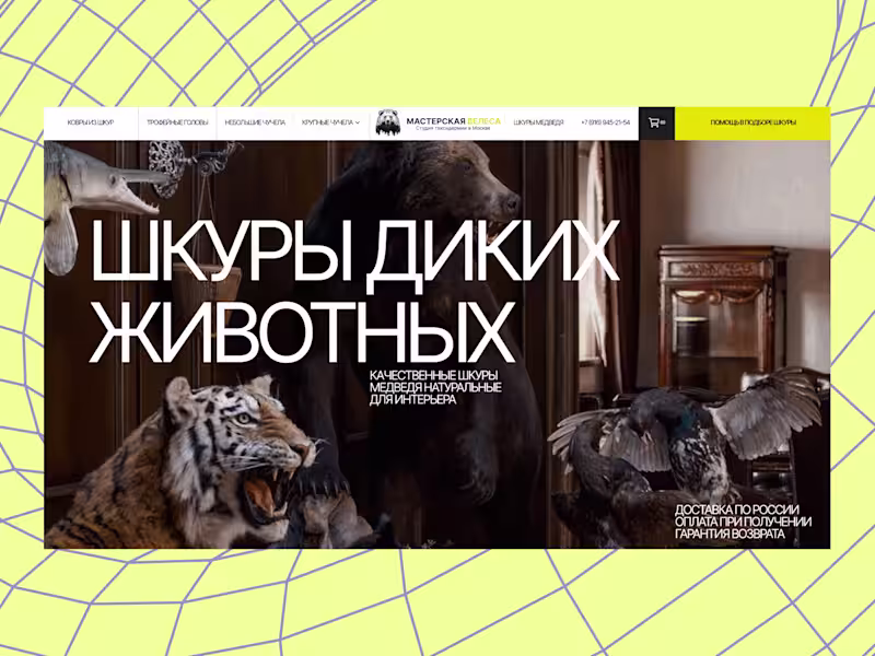 Cover image for VELESA DESIGN