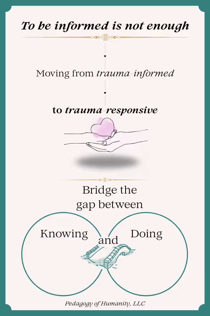 Cover image for This visual framework shows how trauma-responsive practice b...