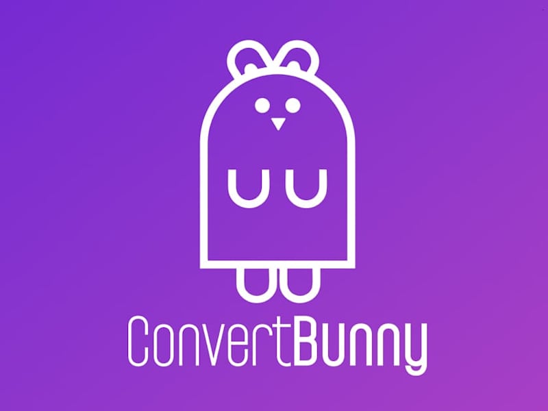 Cover image for 
Assistant Growth Manager, ConvertBunny