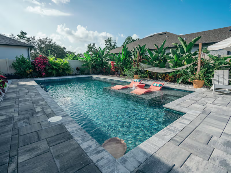 Cover image for Director of Operations