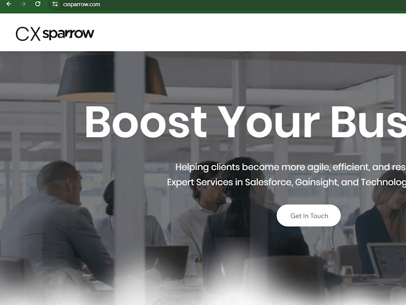 Cover image for CX Sparrow: Salesforce & Gainsight Services l Business Solutions