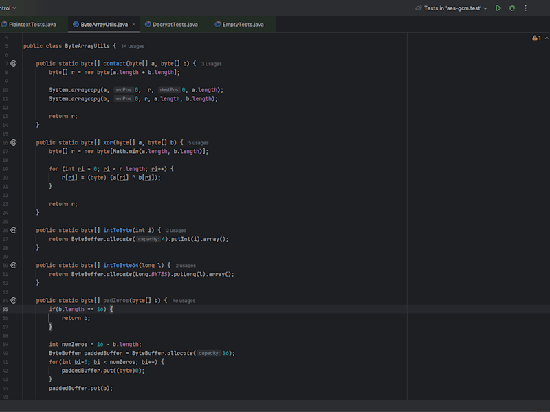 Cover image for Encryption Software Development