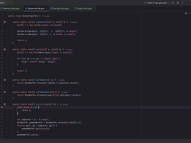 Cover image for Encryption Software Development