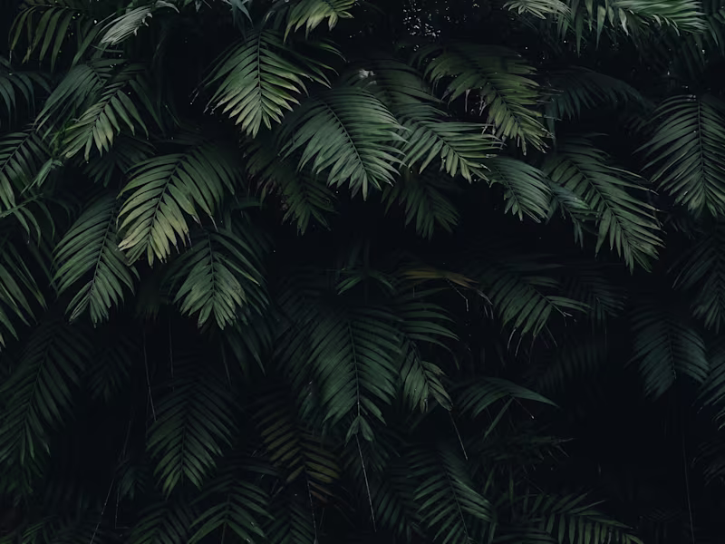 Cover image for SEO expert