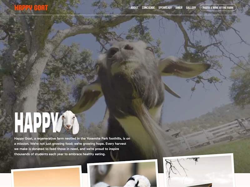 Cover image for Happy Goat Website Design & Build
