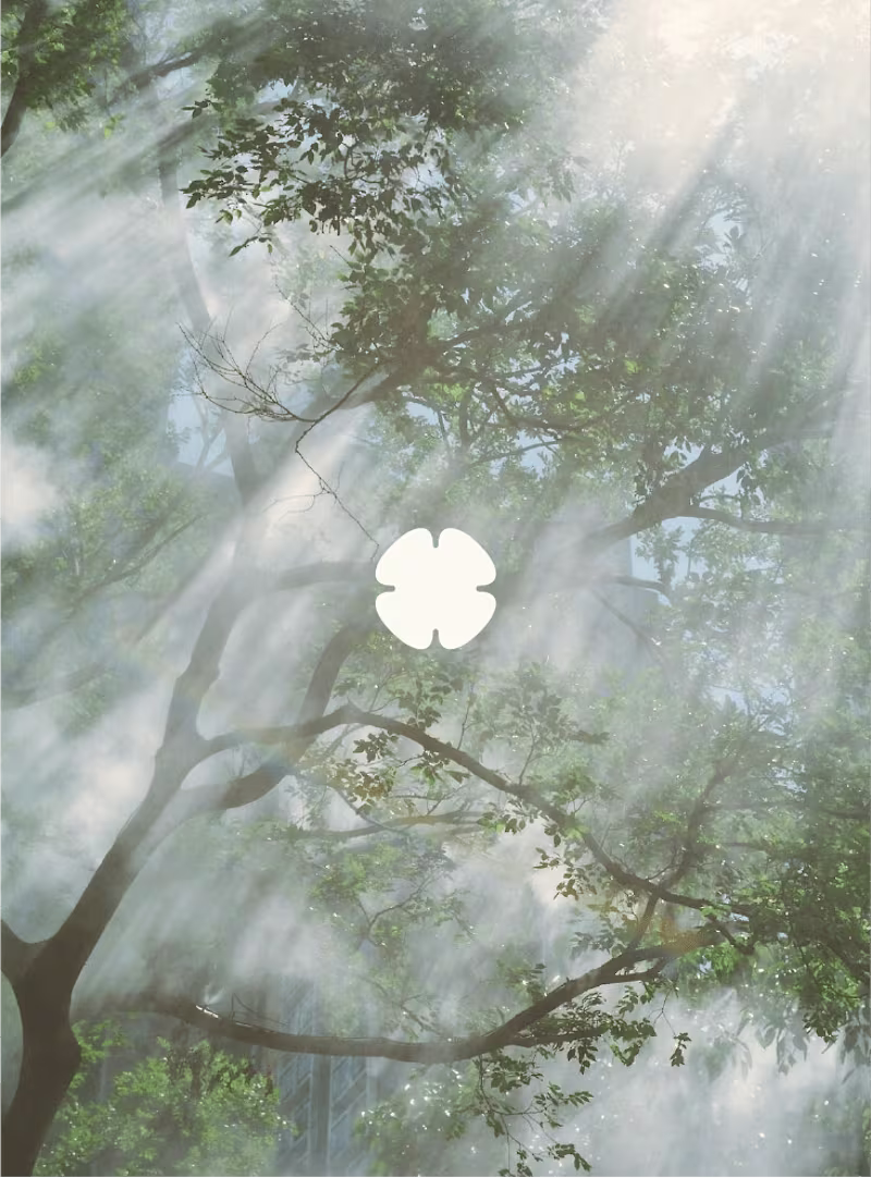 Cover image for Logo Design and Social Media Strategy for a Business