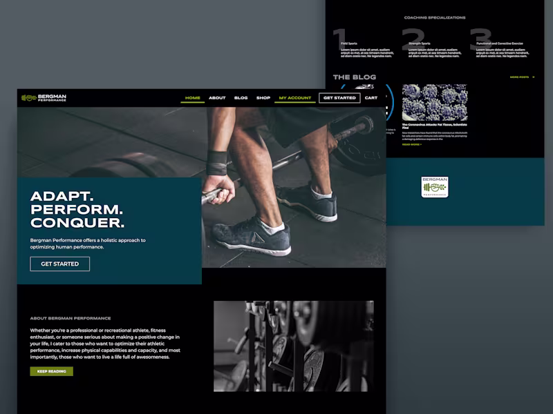 Cover image for Bergman Performance Website