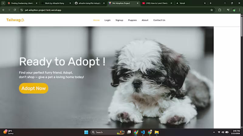 Cover image for Pet Adoption Web Application (TailWag) A user-friendly platf...