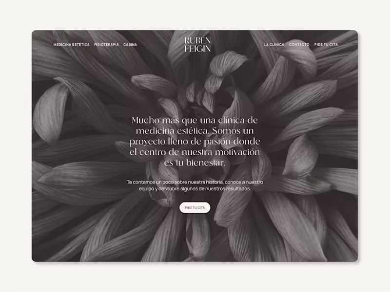 Cover image for A web and brand identity