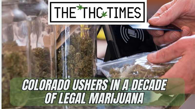 Cover image for Colorado Ushers in a Decade of Legal Marijuana