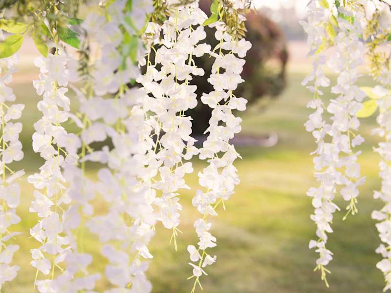Cover image for Life + Home + Auto Insurance