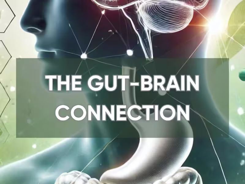 Cover image for Academic Lecture Transcription