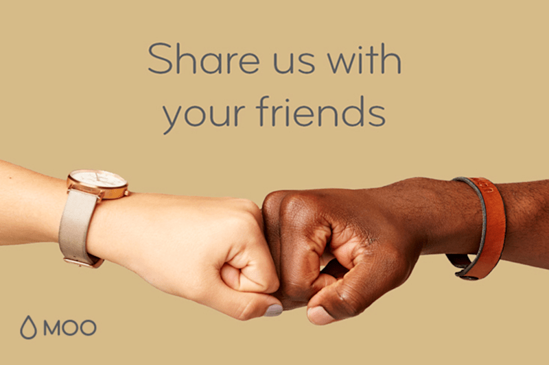 Cover image for MOO's Referral Program