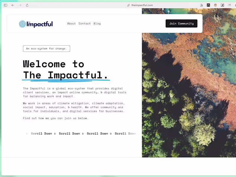 Cover image for Brand & Community Build, Launch, & Growth
