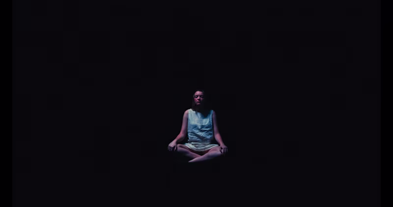 Cover image for THE MEDITATOR