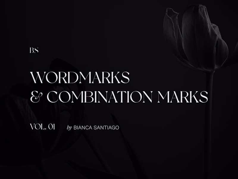 Cover image for Wordmarks & Combination Marks Collection — Vol.01