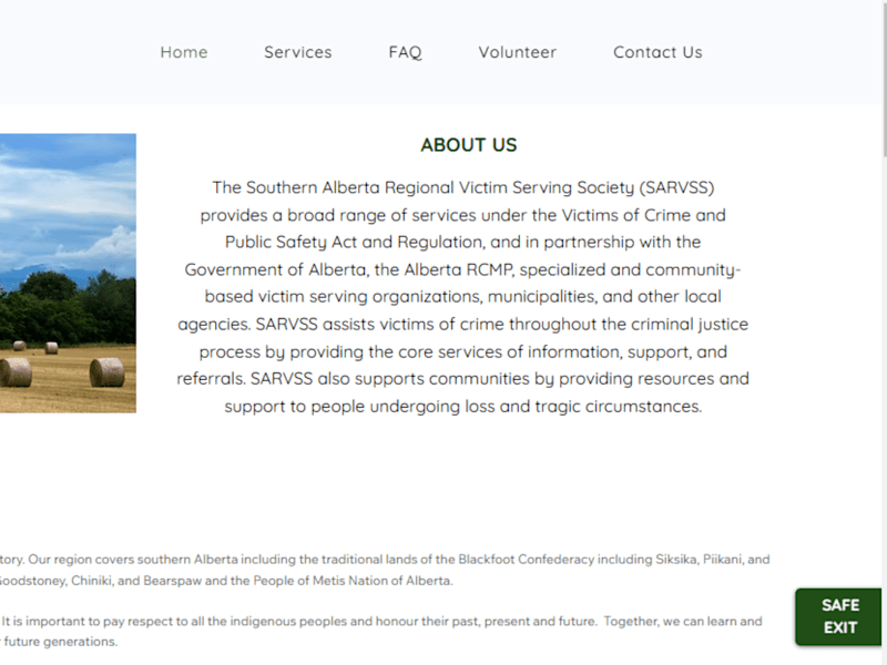 Cover image for Sarvss