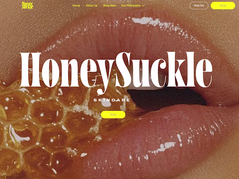 Cover image for Elevated Web Design to Bring Your Brand Vision to Life