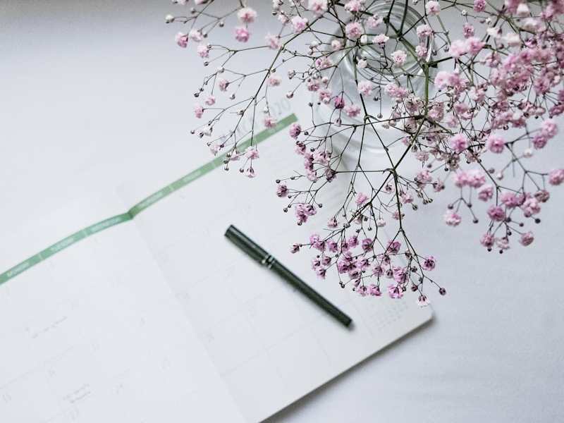 Cover image for Blogger