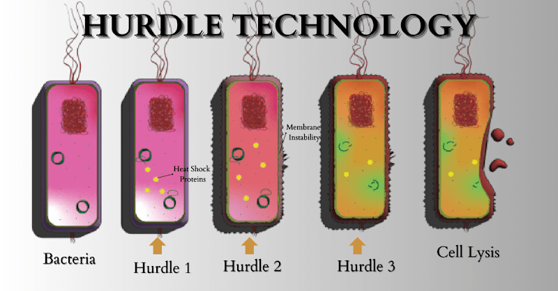 Cover image for Sample Diagram