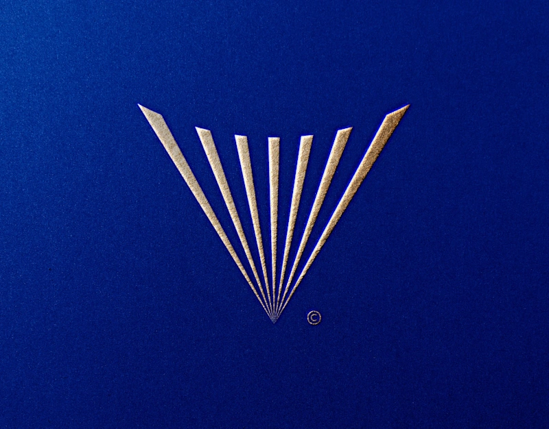 Cover image for Vouchlux Brand Identity