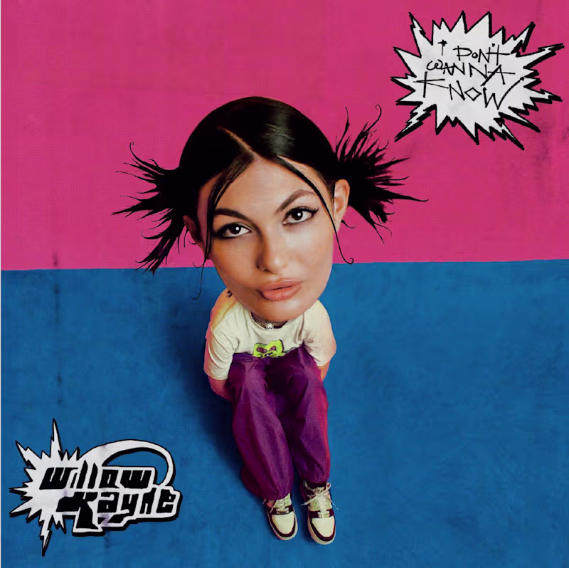 Cover image for My illustration and design work on the record cover 'I Don't...