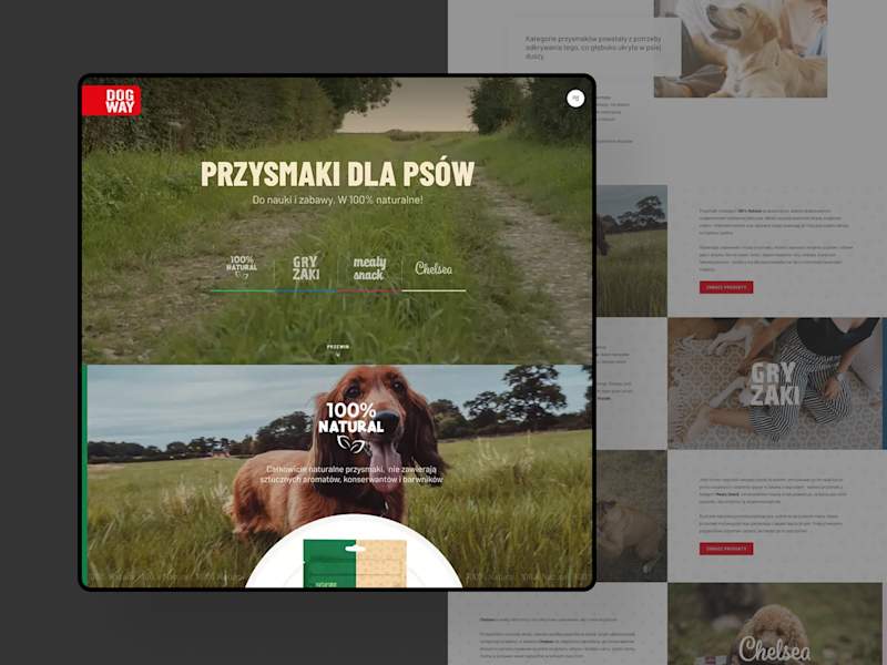 Cover image for DogWay - Assisi Pet Care brand
