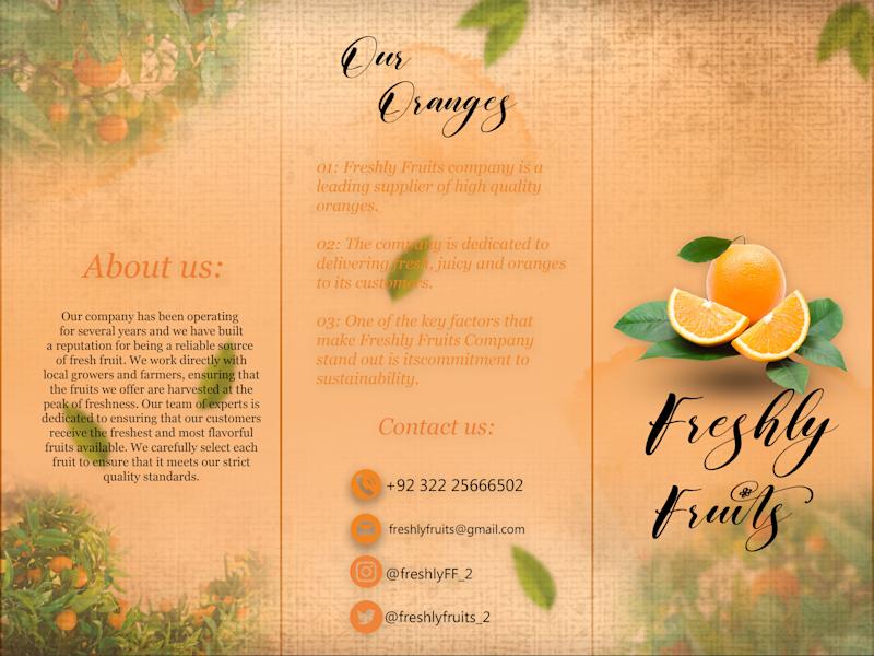 Cover image for Try Fold Business Brouchure.