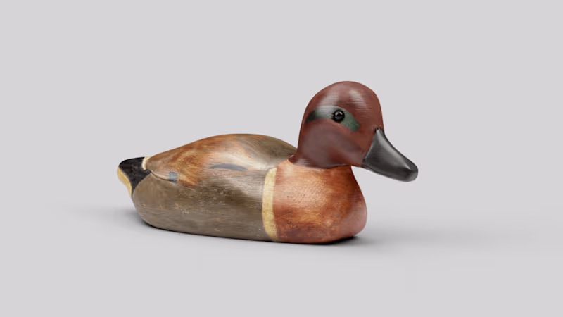 Cover image for Antique Duck Model