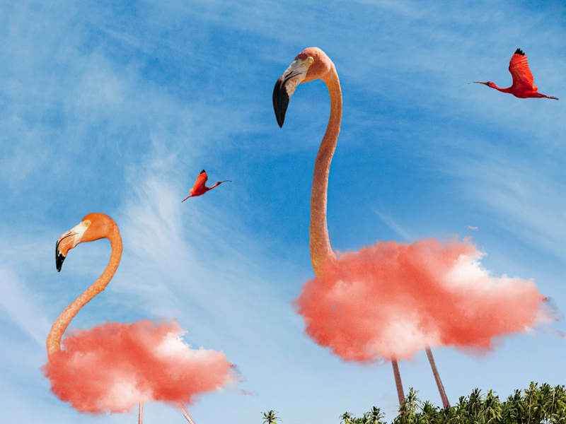 Cover image for PHOTOSHOP WORK