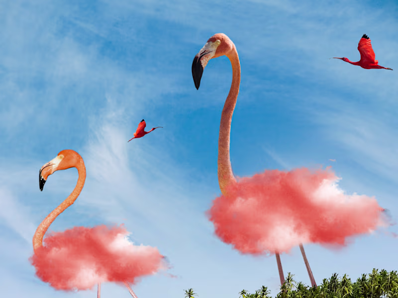 Cover image for PHOTOSHOP WORK