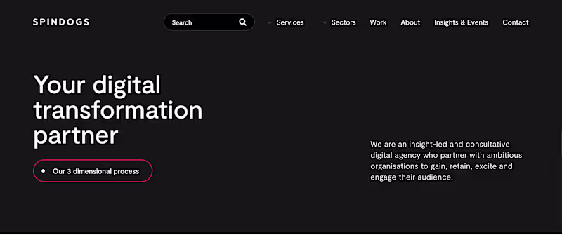 Cover image for Spindogs, Cardiff - Freelance Digital