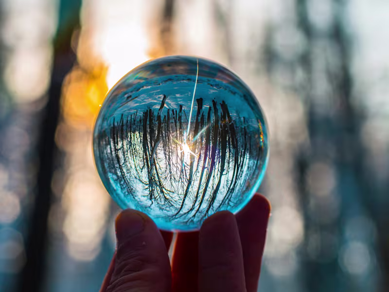 Cover image for Experts-Referrals