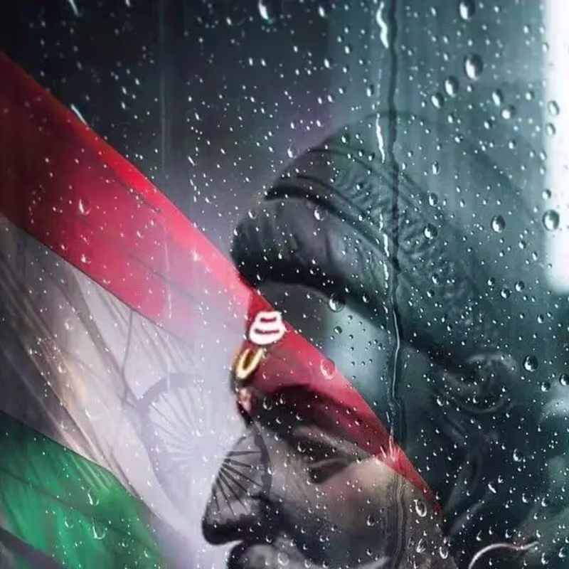 Cover image for Independent day special 