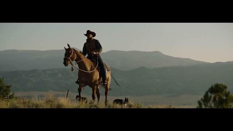 Cover image for Skyrider Ranch - Loyal To The Wild - YouTube