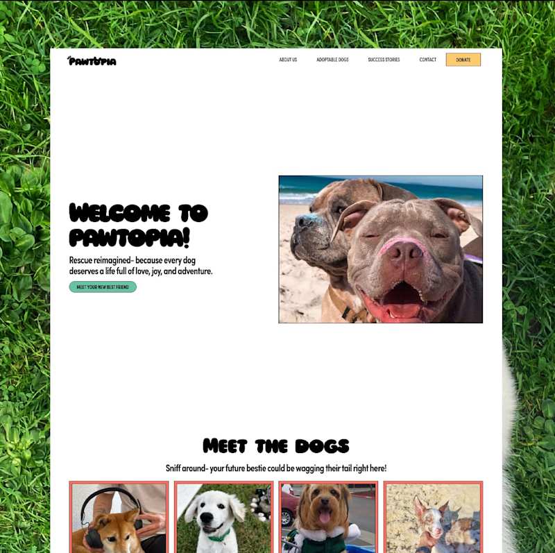 Cover image for Pawtopia Dog Rescue | Website Design + Branding
