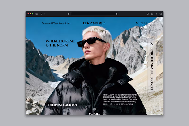 Cover image for 19 / 30: PERMABLACK Hero. The challenge was translating tech...