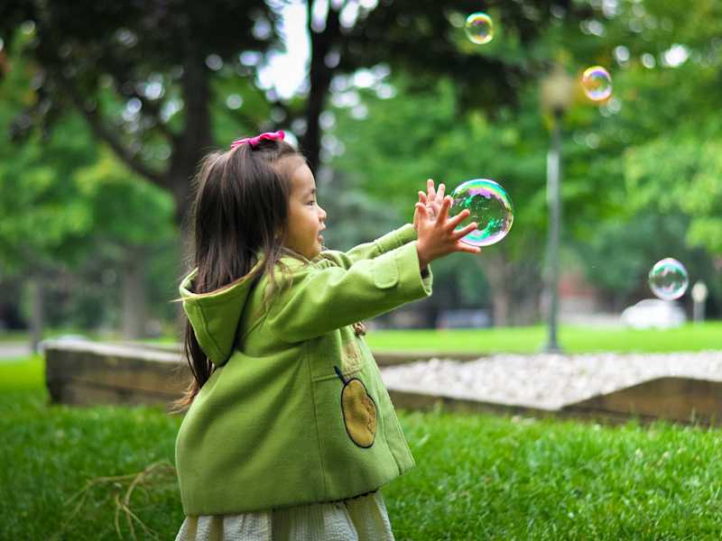 Cover image for Building Brand Awareness for a New Homeschooling Curriculum