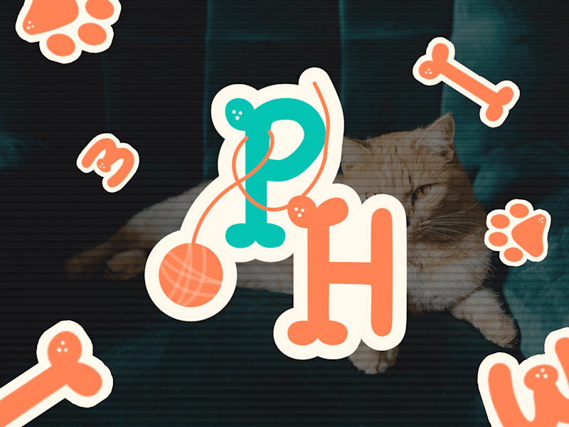 Cover image for Pawfect Haven – Pet Services Brand Identity