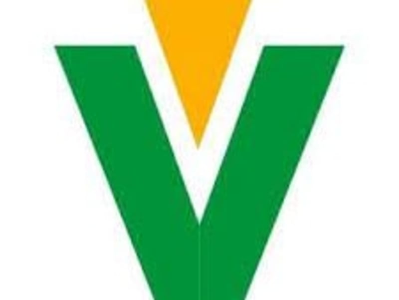 Cover image for Professional Catalog Translation for VTEKE Electric