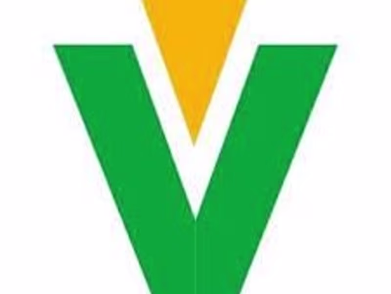 Cover image for Professional Catalog Translation for VTEKE Electric
