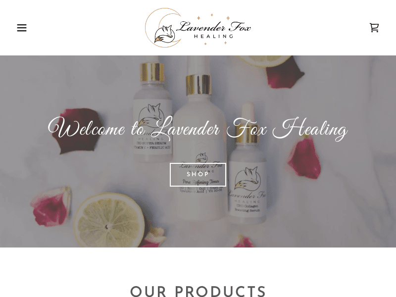 Cover image for Beauty Product Store