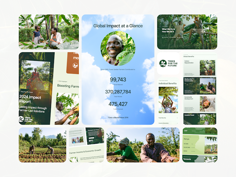 Cover image for TREES – Annual Impact Report Website
