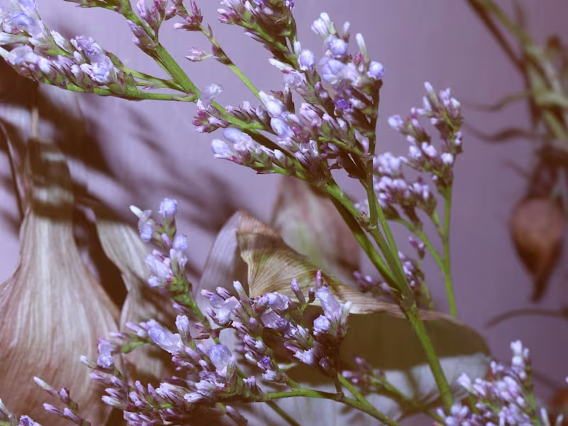 Cover image for I Think Ghosts are Real - Music Video