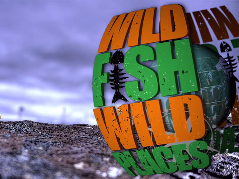 Cover image for WILD FISH WILD PLACES opener