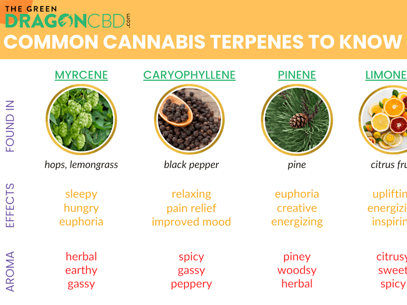 Cover image for Terpene Masterlist