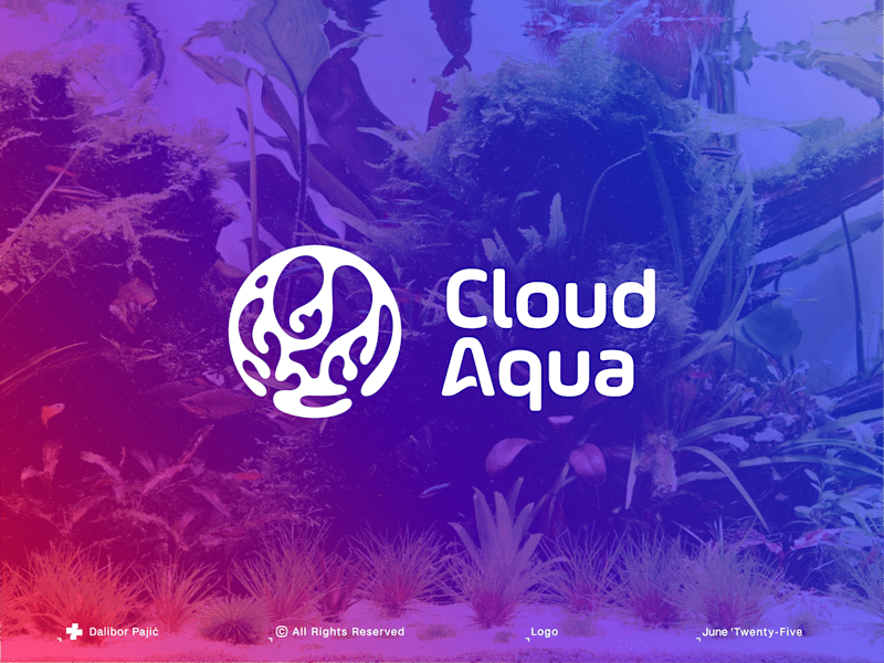 Cover image for CloudAqua, Transforming Aquascaping in the UK