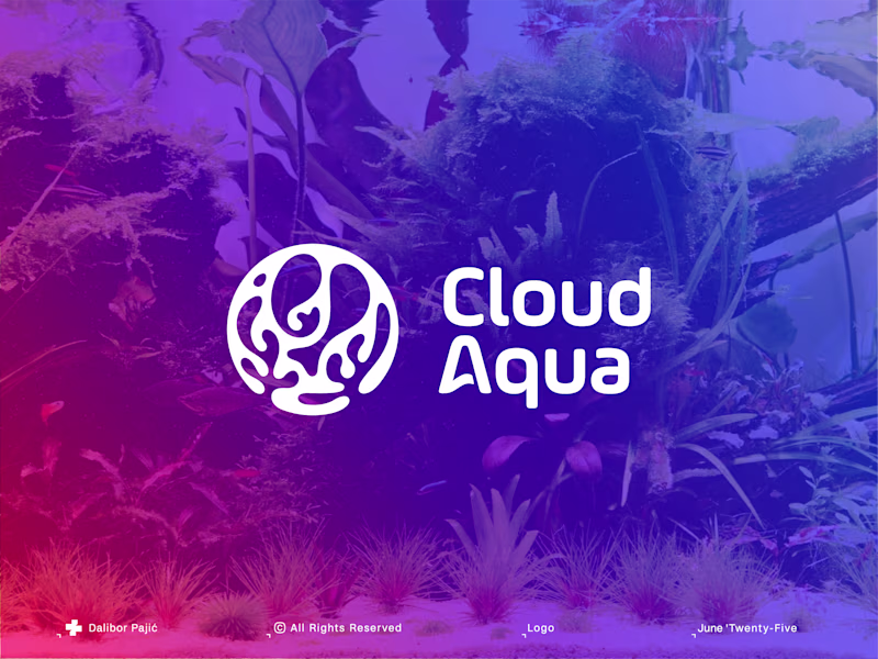 Cover image for CloudAqua, Transforming Aquascaping in the UK