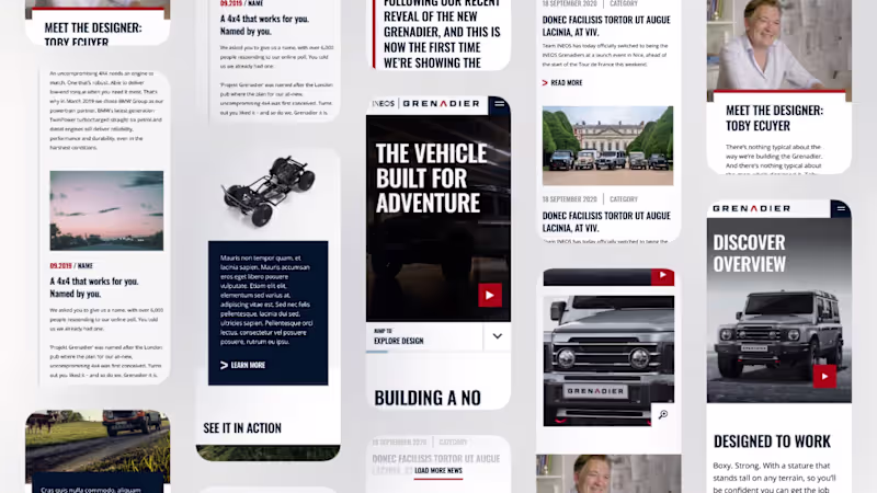 Cover image for Momentum