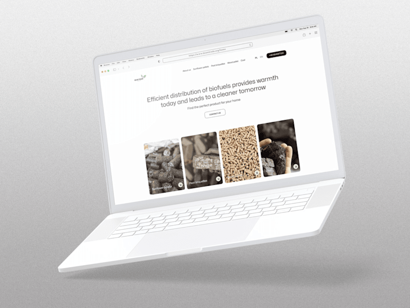 Cover image for Redesigning a corporate website for an eco-friendly fuel product